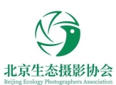 2025 北京生态摄影艺术展花鸟主题摄影网展征稿启事