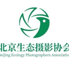 2025 北京生态摄影艺术展花鸟主题摄影网展征稿启事