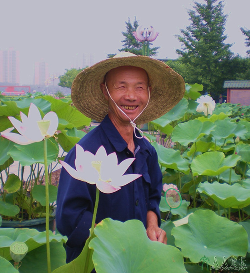 他在丛中笑 2013.7.12