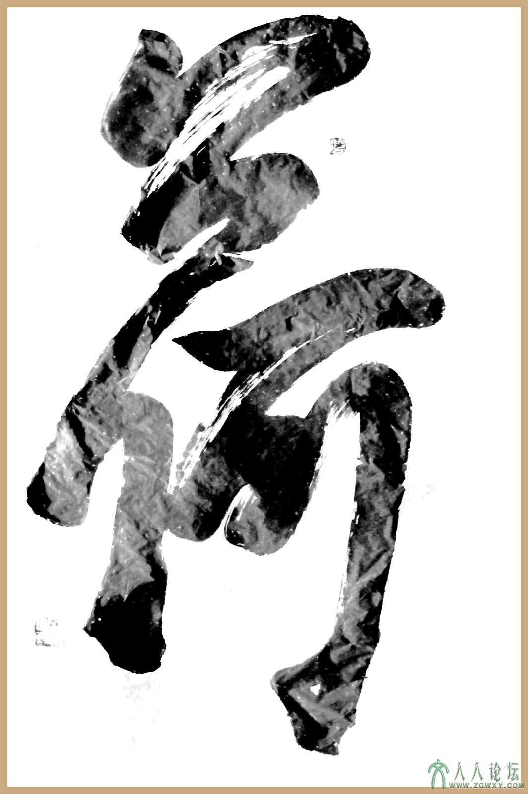 荷 - 副本 - 副本.jpg