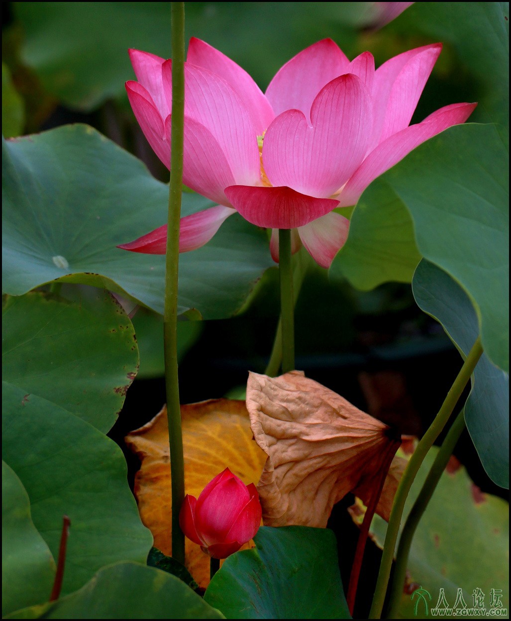 07 守护 13-8-8 摄