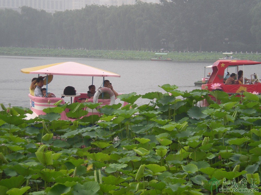 泛舟赏荷莲花池2013.7.12.jpg