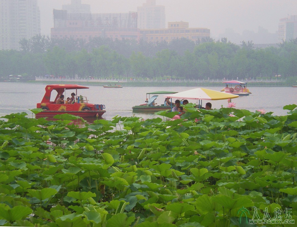 泛舟莲花池 2013.7.12.jpg