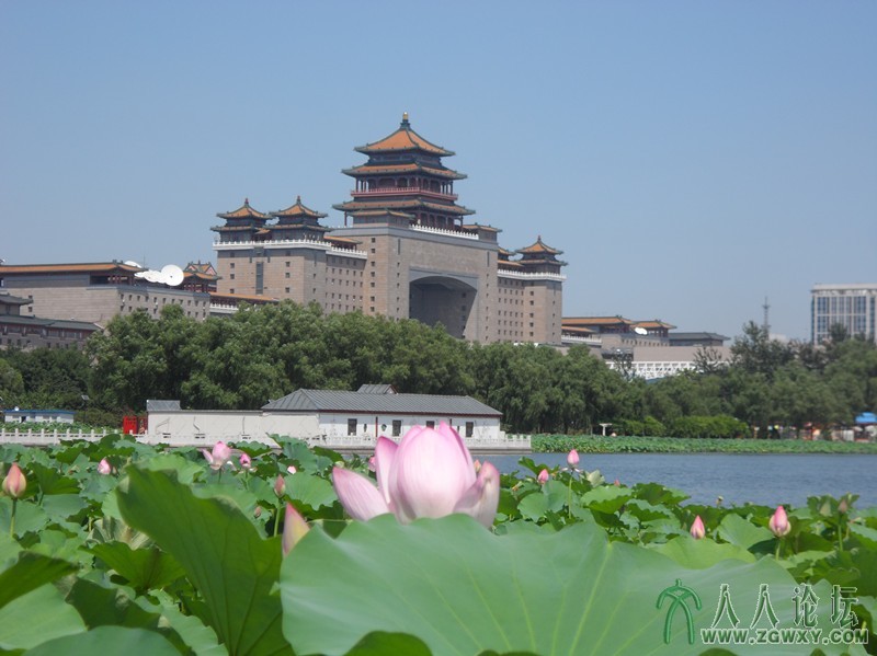 莲花池 西站20130723_1.jpg