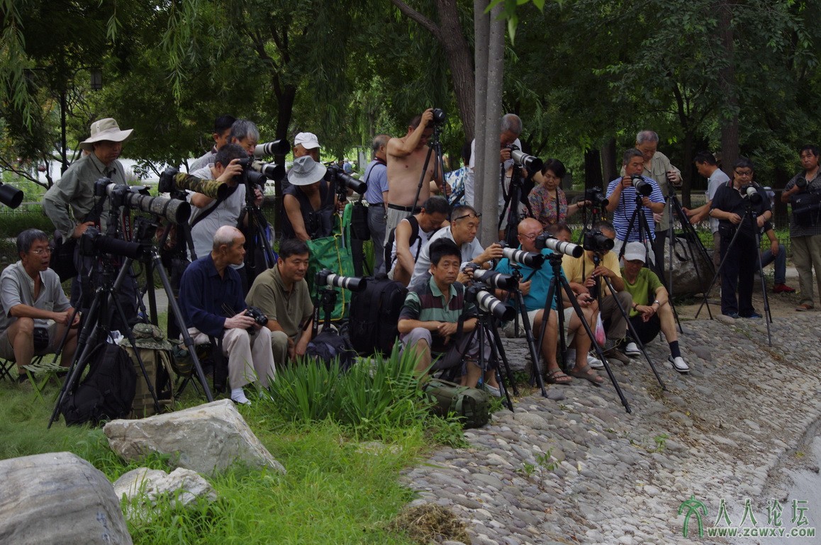 等待翠鸟的摄影爱好者们
