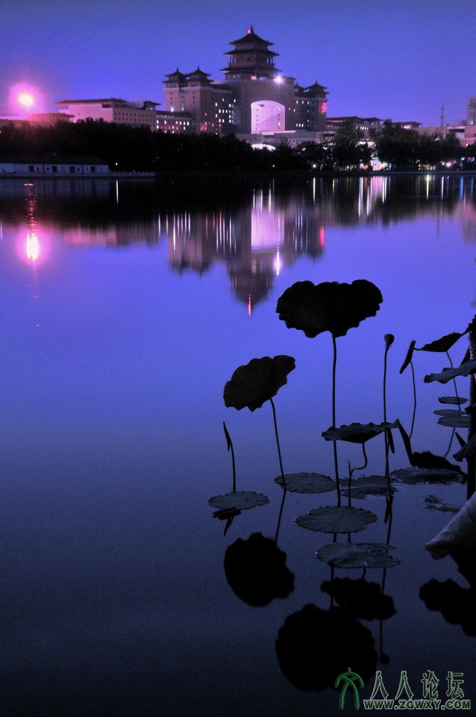 _2【清馨的夏夜】 摄影 庄丽丽 电话 13661393261.jpg