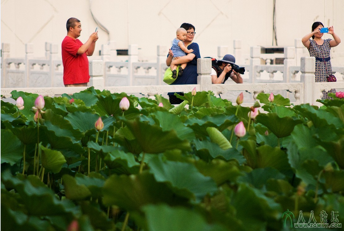 美在心里 摄影庄丽丽 电话 13661393261.jpg