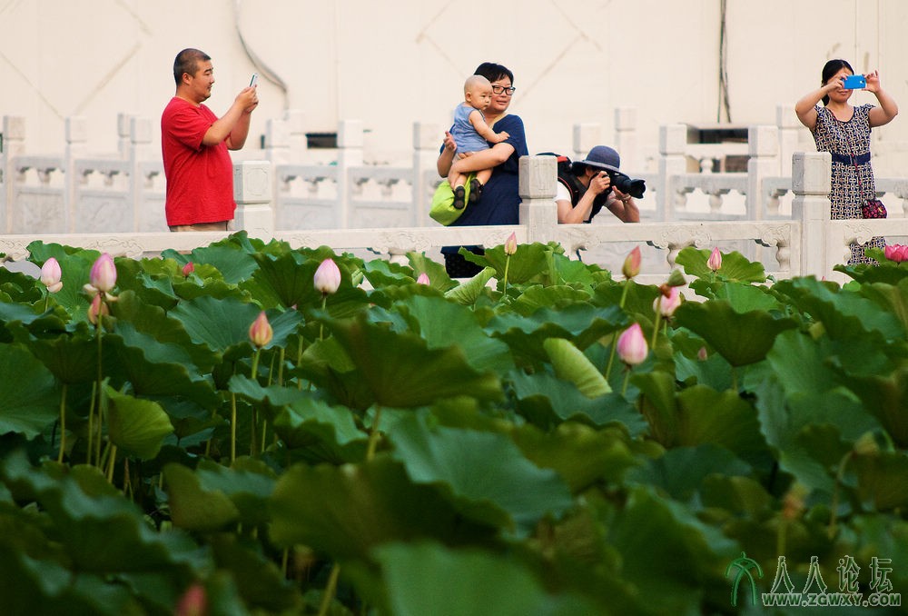 10【美在心里】 摄影 庄丽丽 电话 13661393261.jpg