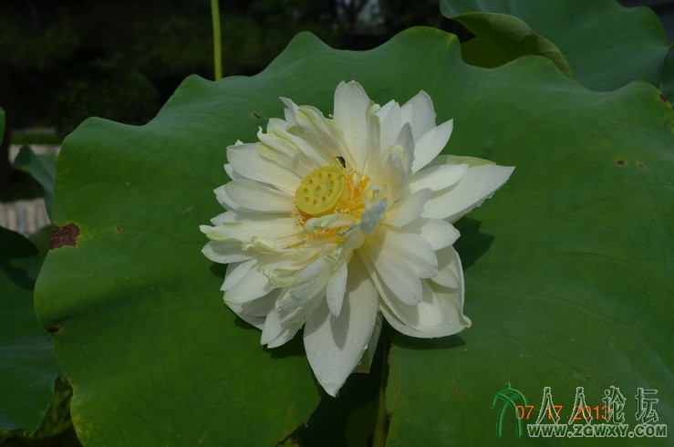 承诺 1661184172@qq.com 3.jpg