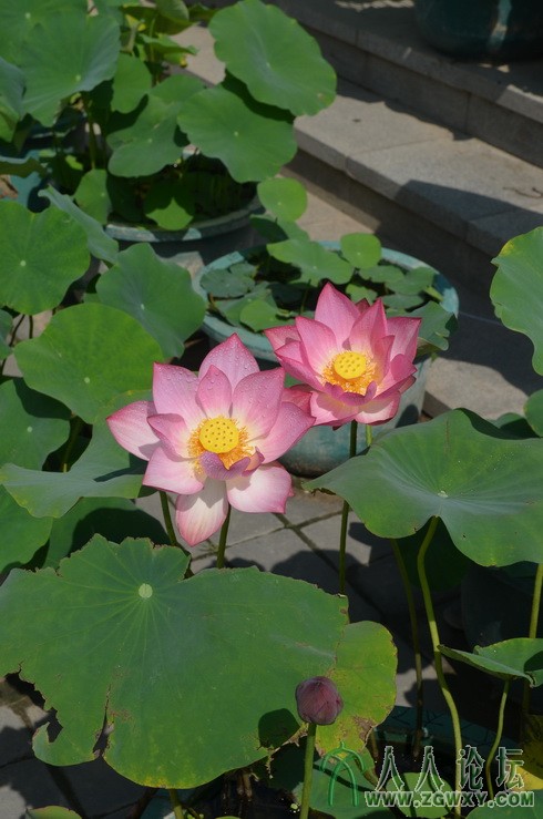 承诺 1661184172@qq.com 11.jpg