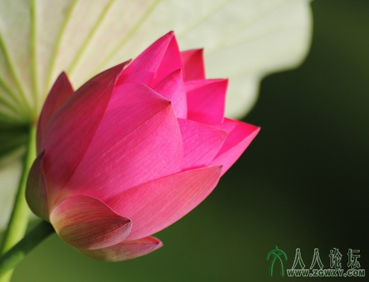 刁小熙 xxdiao.001@163.com 6.jpg