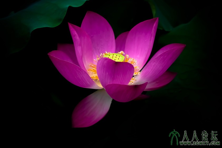 蝶 1257776785@qq.com 3.jpg