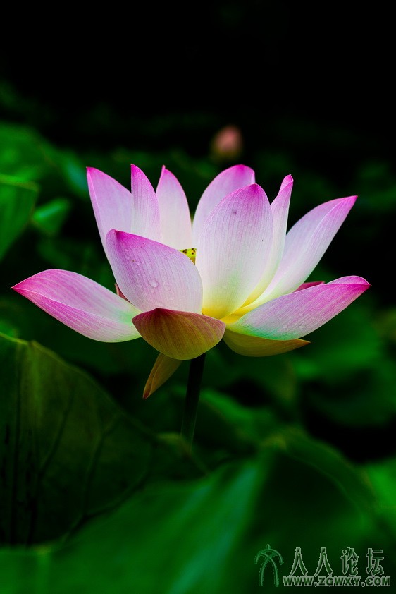 蝶 1257776785@qq.com 1.jpg