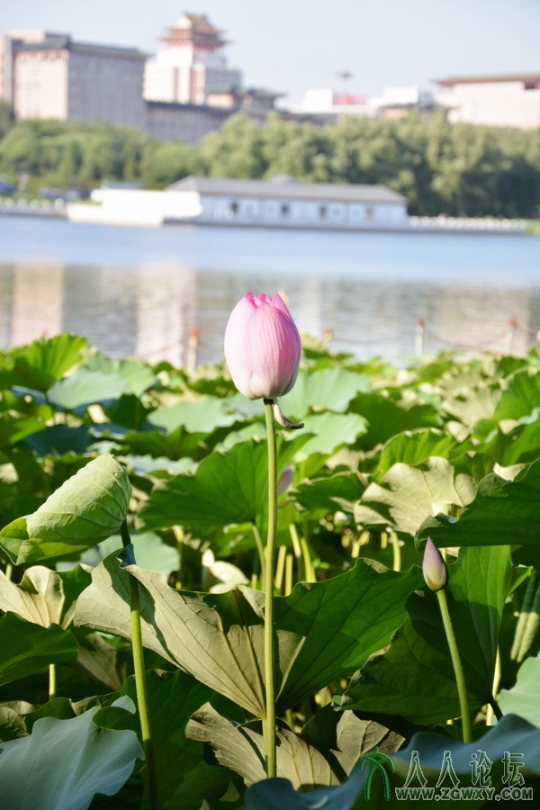 恶魔蓝 778515767@qq.com 3.jpg