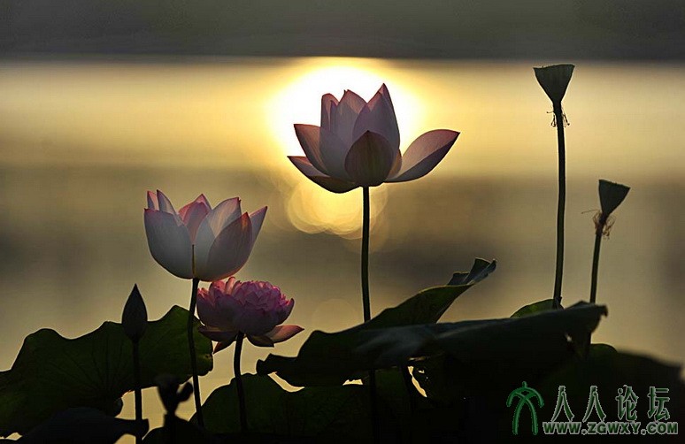 红色十月 1594242264@qq.com 1.jpg