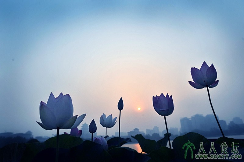 红色十月 1594242264@qq.com 2.jpg