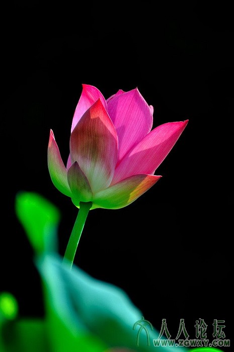 葒顏.. 1450464838@qq.com 4.jpg