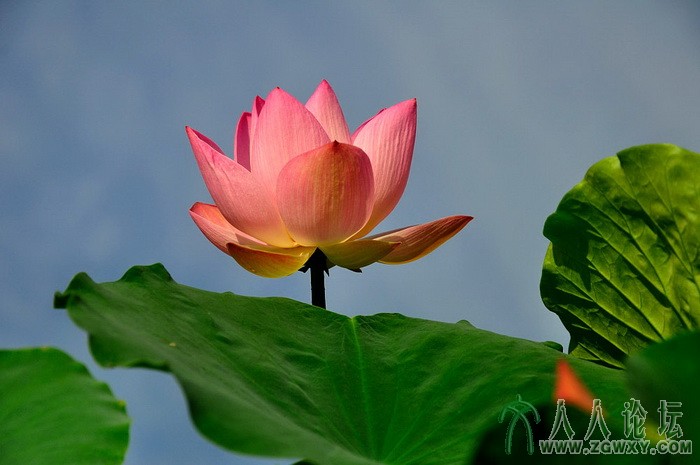 葒顏.. 1450464838@qq.com 1.jpg