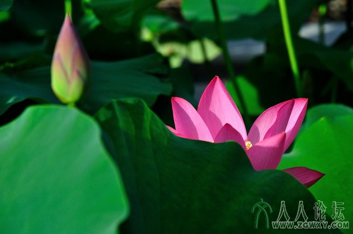 葒顏.. 1450464838@qq.com 2.jpg