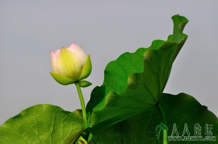 葒顏.. 1450464838@qq.com 3.jpg