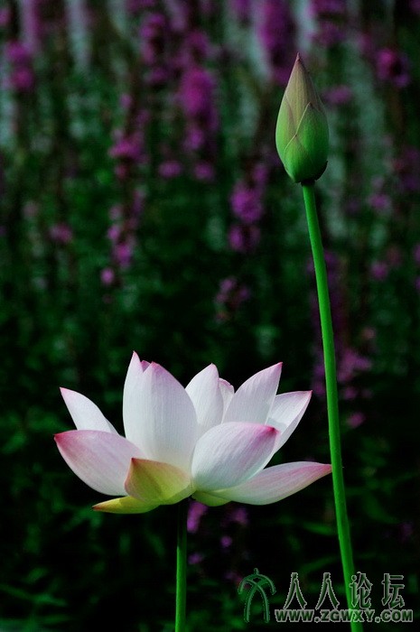 葒顏.. 1450464838@qq.com 6.jpg