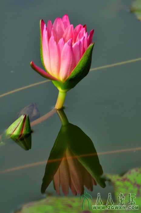 葒顏.. 1450464838@qq.com 7.jpg