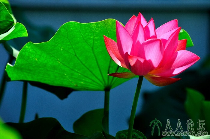 葒顏.. 1450464838@qq.com 12.jpg