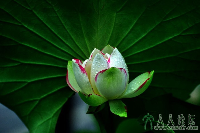 葒顏.. 1450464838@qq.com 9.jpg