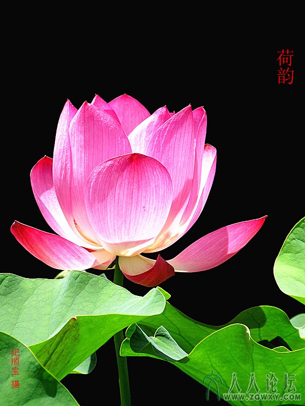 纪顺宝 13691086660@163.com 2.jpg