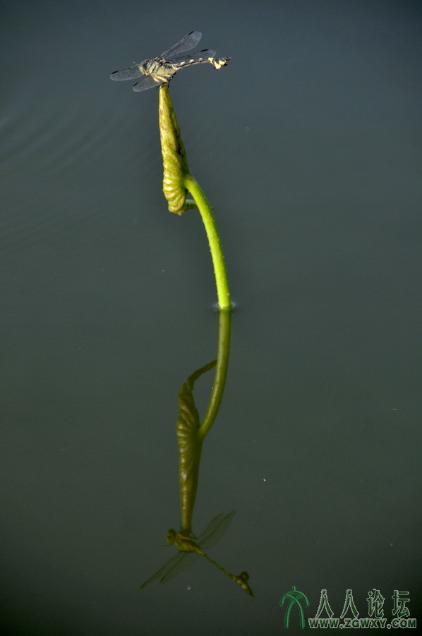 李贺祥tslhx1949@126.com 1.JPG