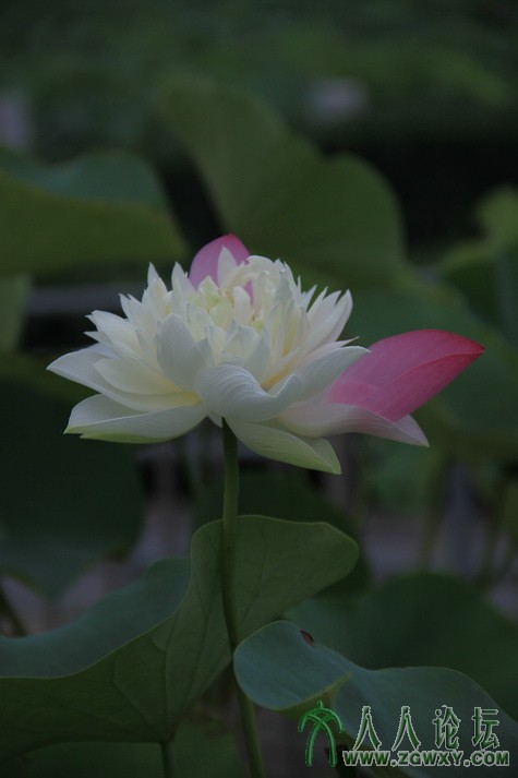 李远 18600896990@163.com 2.JPG