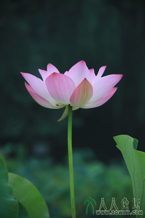 李远 18600896990@163.com 3.JPG