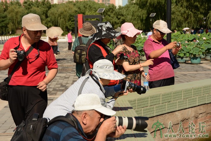 莲花节爱荷人摄影忙-周性吾摄.JPG