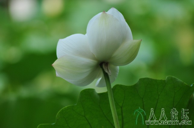 恋之水晶 1404247335@qq.com 4.JPG