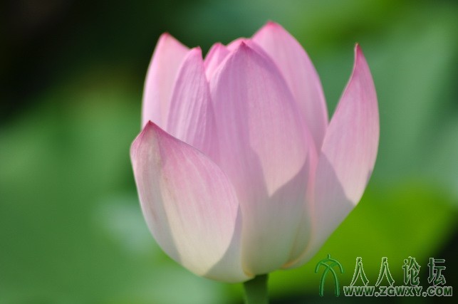 恋之水晶 1404247335@qq.com 3.JPG