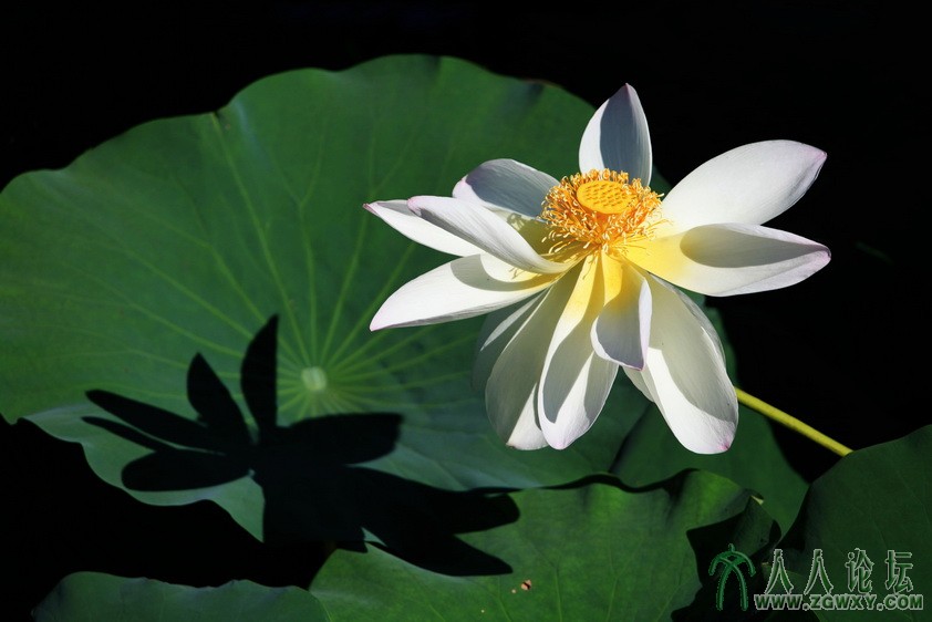 刘工 82635833@163.com.jpg