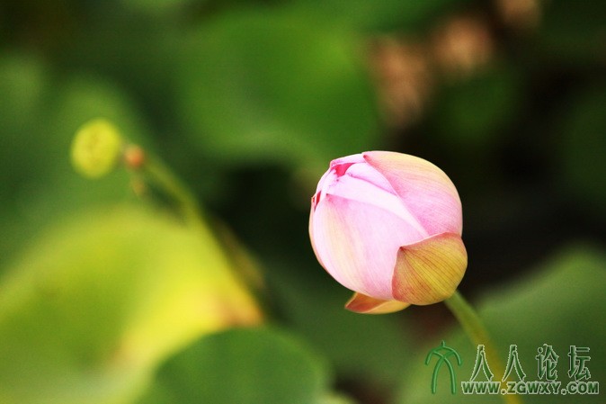 魔术师的徒弟 张迪龙  274153635@qq.com.JPG