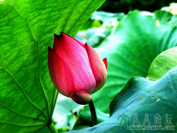 玩家 1298955562@qq.com 2.jpg