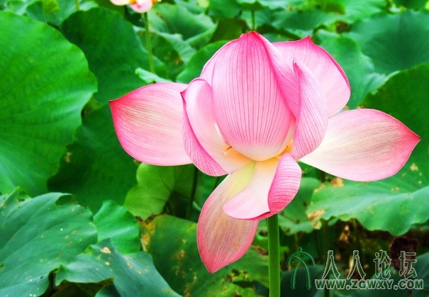 玩家 1298955562@qq.com 1.jpg