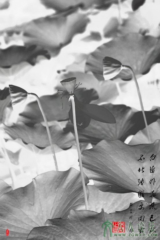 休闲解闷 124251535@qq.com 1.jpg