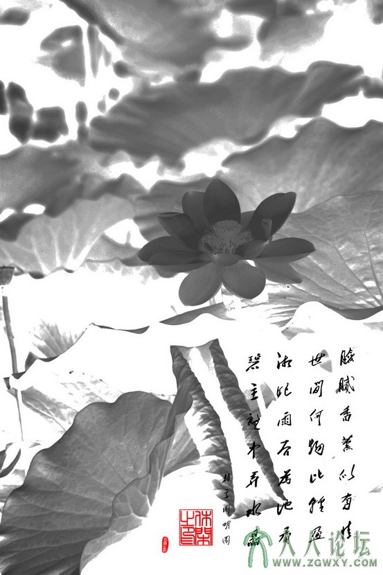 休闲解闷 124251535@qq.com 2.jpg