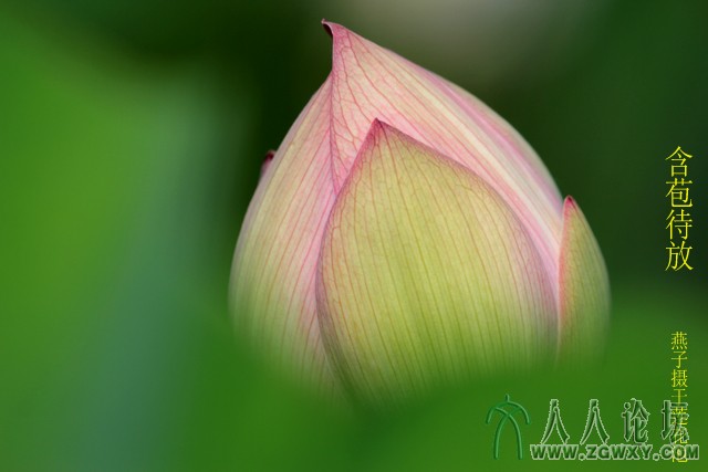 燕子 xym_1018@126.com3.jpg