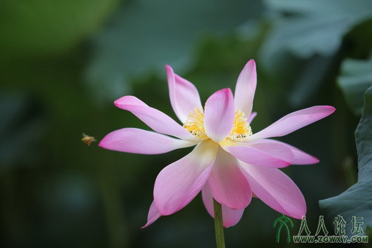 66427464@qq.com 3.JPG