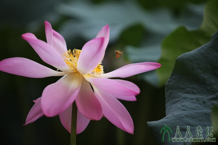 66427464@qq.com 2.JPG