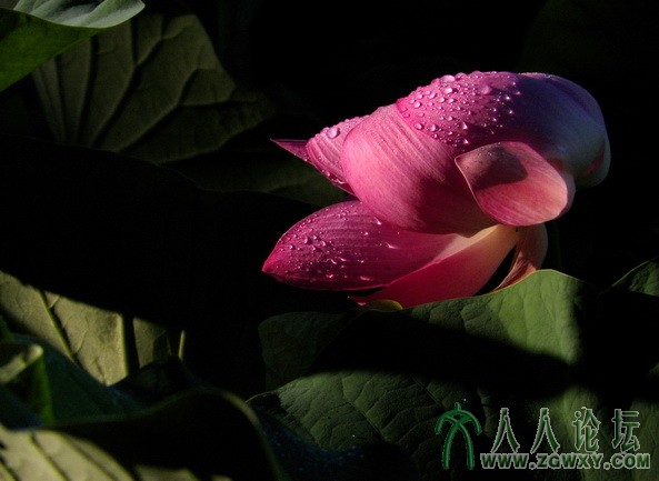 fangjie1226@sina.com 3.JPG