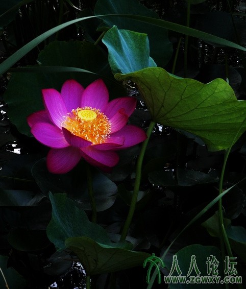 fangjie1226@sina.com 2.JPG