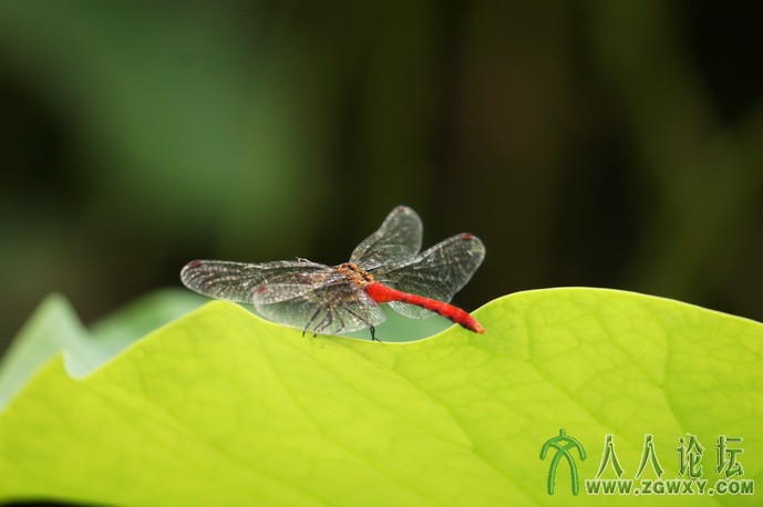 hao hao5191@163.com 3.JPG