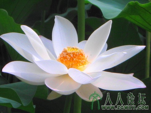 hao hao5191@163.com 1.jpg