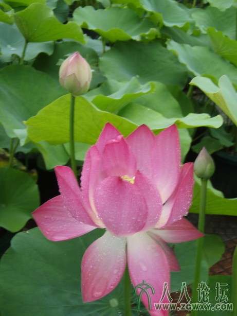 lds1222@qq.com 2.JPG