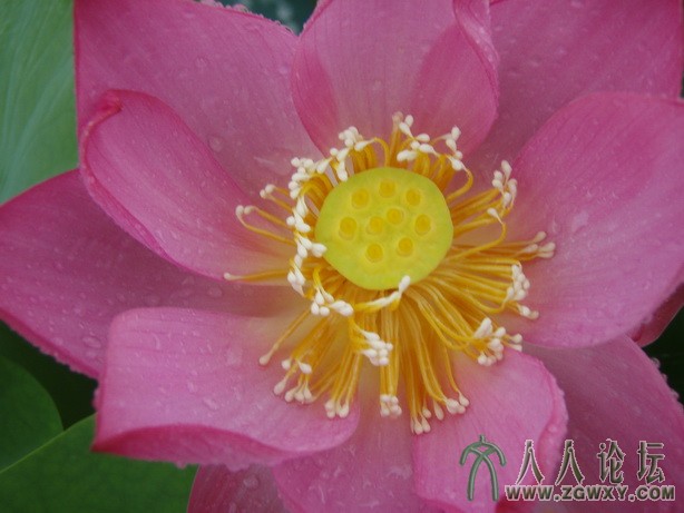 lds1222@qq.com 1.JPG